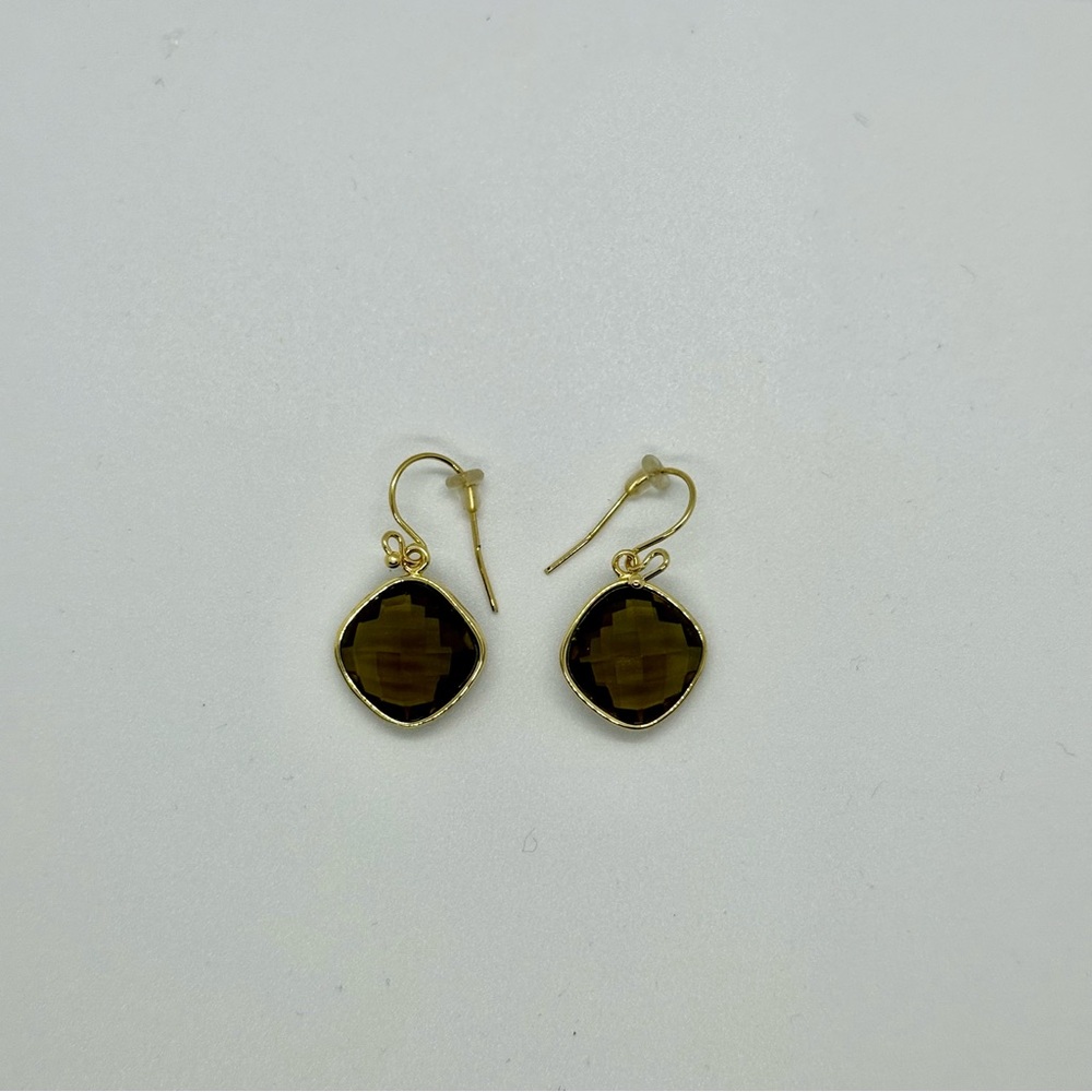 Elegant Gold and Brown Earrings